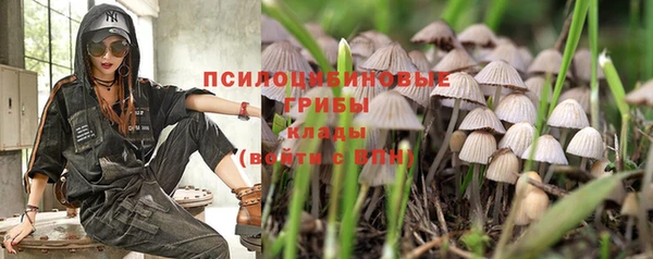 мяу мяу мука Арсеньев