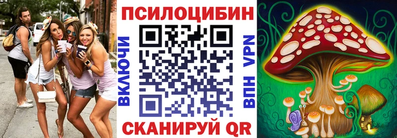 Галлюциногенные грибы Psilocybine cubensis  Фёдоровский 
