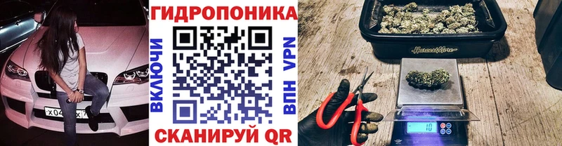 Каннабис конопля  Фёдоровский 